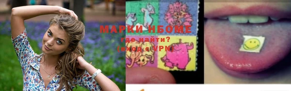 Альфа ПВП Арсеньев