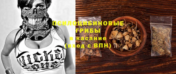 твердый Аркадак