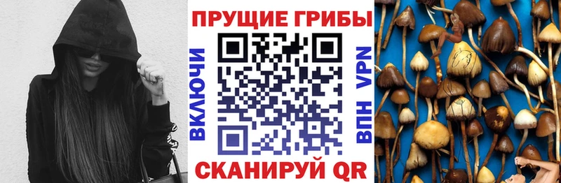 Псилоцибиновые грибы Magic Shrooms Геленджик