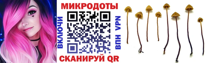 где продают   Геленджик  MEGA ссылка  Галлюциногенные грибы GOLDEN TEACHER 